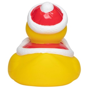 Canard hiver MBW 3