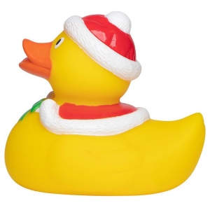 Canard hiver MBW 4