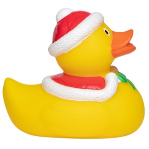 Canard hiver MBW 5