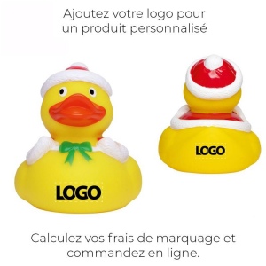 Canard hiver MBW 6