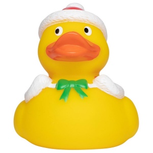 Canard hiver MBW 2