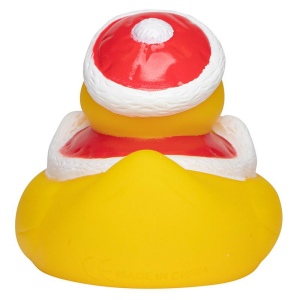 Canard hiver MBW 3