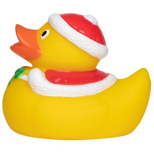 Canard hiver MBW 4