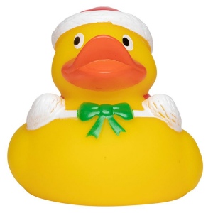 Canard hiver MBW 2