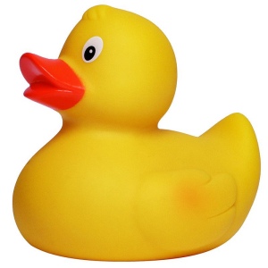 Canard uni MBW 4