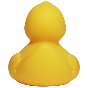 Canard uni MBW 5