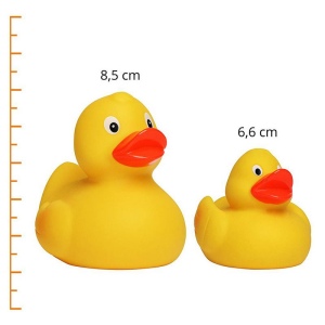 Canard uni MBW 6