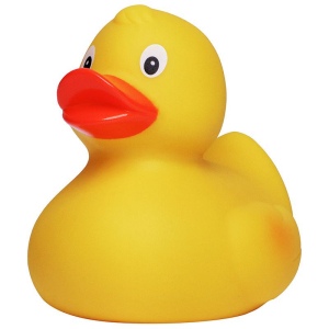 Canard uni MBW