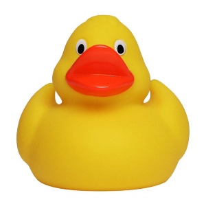 Canard uni MBW 3
