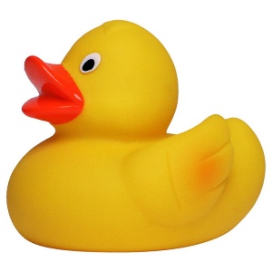 Canard uni MBW 4