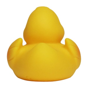 Canard uni MBW 5