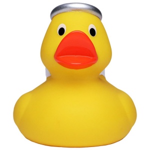 Canard hiver MBW 4