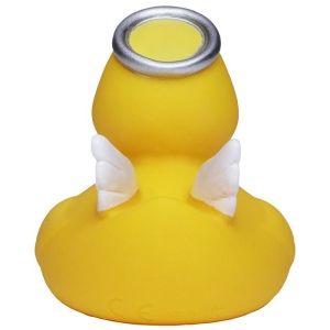 Canard hiver MBW 5