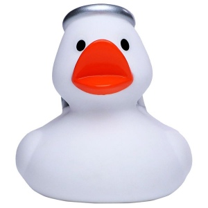 Canard hiver MBW 7