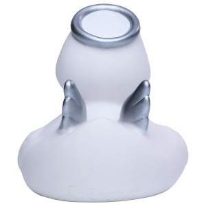Canard hiver MBW 8