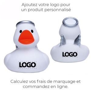Canard hiver MBW 9