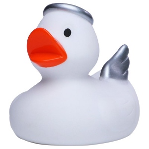 Canard hiver MBW 3