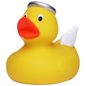 Canard hiver MBW 2