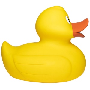 Canard géant MBW 7