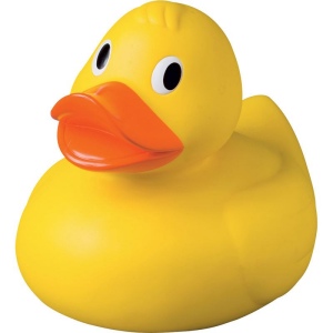 Canard géant MBW 2