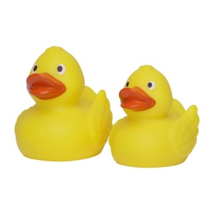 Canard de course MBW 6