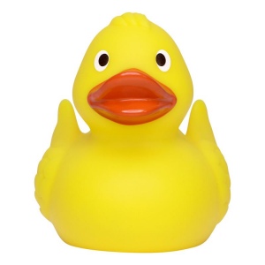 Canard de course MBW 2