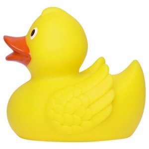 Canard de course MBW 4