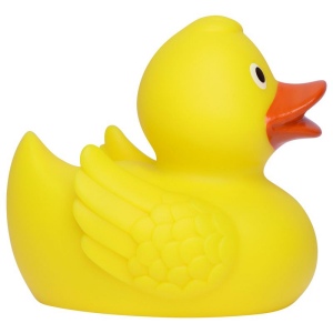 Canard de course MBW 5