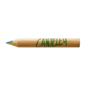CRAYON PRESTIGE NATUREL 4 COUL(+Quadri) 5
