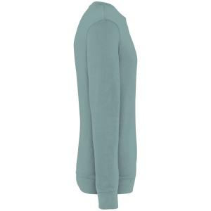 Sweat-shirt écoresponsable à col rond French Terry unisexe 23