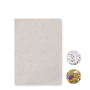 Papier A6 graines de fleurs - ASIDO 2