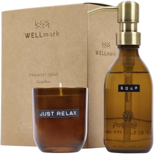 Distributeur de savon pour les mains de 200 ml et ensemble de bougies parfumées de 150g Wellmark Discovery 4