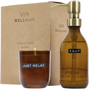 Distributeur de savon pour les mains de 200 ml et ensemble de bougies parfumées de 150g Wellmark Discovery 2