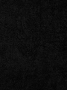 VINGA Serviette Birch 70x140 21