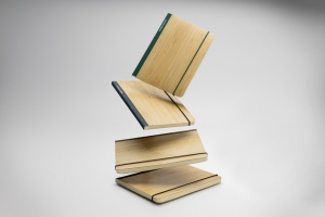 Carnet de notes A5 en bambou Scribe 19