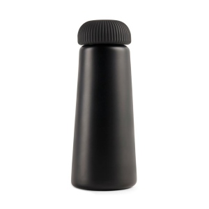 VINGA Bouteille isotherme 450ml en acier RCS Erie 6