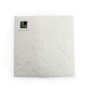 Enveloppe papier graines 2