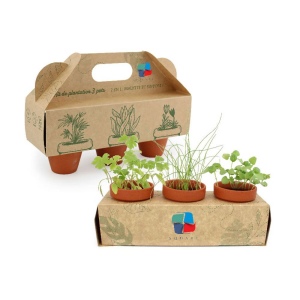 Présentoir 3 pots 2