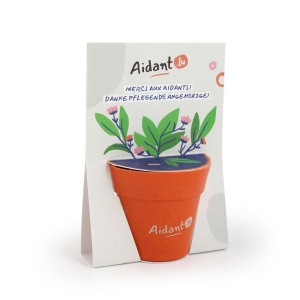 Carte pot bambou 2