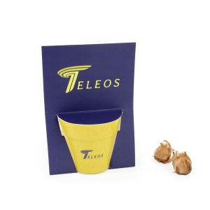 Carte pot bambou 3