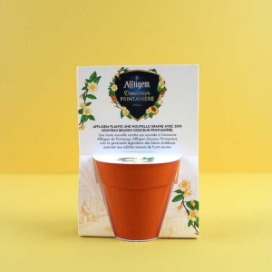Carte pot bambou