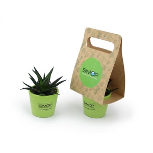 Plante portative 2