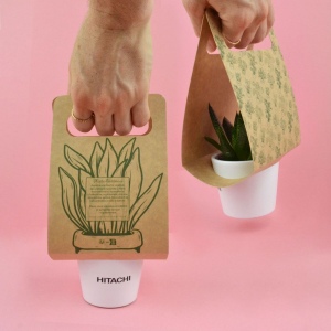 Plante portative