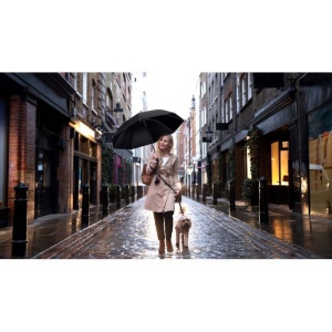 parapluie golf en rPET (Import) 7