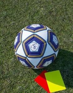 Ballon Foot PREMIUM 2