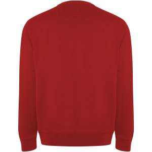 Sweater Batian en coton organique unisexe 20