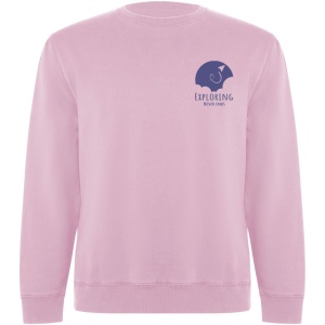 Sweater Batian en coton organique unisexe 10