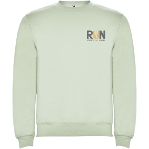 Pull ras du cou Clasica unisexe 44