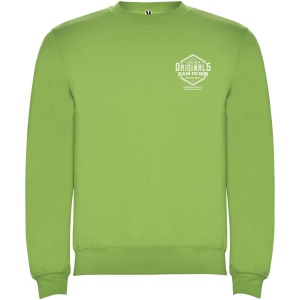 Pull ras du cou Clasica unisexe 46