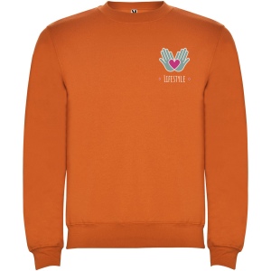 Pull ras du cou Clasica unisexe 48